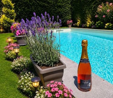 Montanera House | Villa Celeste