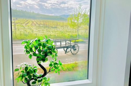 Bennwihr Villa | Villa de Rêve au Cœur du Vignoble Dalsace