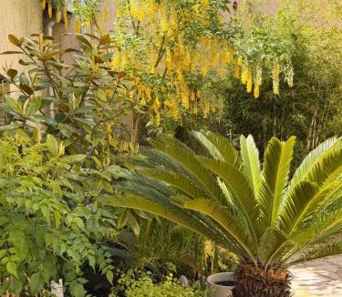 Sainte-Savine Apartment | Villa des dames 40m2,jardin fleuri
