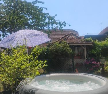 Chatenois Apartment | Villa Le Marronnier, clim, Terrasse, Parking & Spa privé, calme, entre Colmar-Riquewihr et Obernai, Route des vins d'Alsace