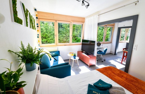 Pontarlier Apartment | Whole flat T1 of 31 m² quiet & cosy