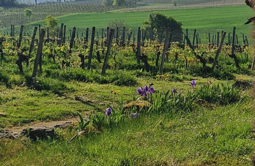 Maumusson-Laguian Apartment | Wine estate loft among vineyards in Gers