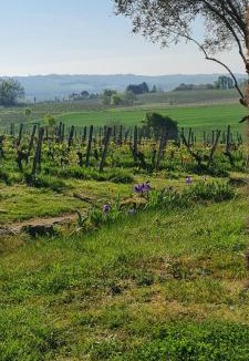 Maumusson-Laguian House | Wine Estate Loft Among Vineyards In Gers