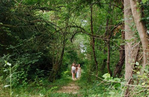 Villeblevin Bed & Breakfast | YXIE - Manoir des Arts