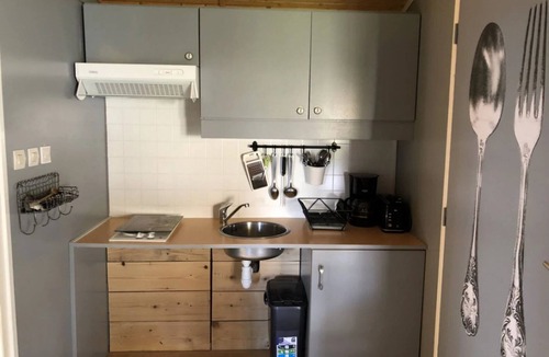Roquefeuil Ski Chalet | ZEcamping 3 étoiles pataugeoire animaux acceptés chalet TV BBQ 28m2