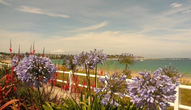 170m², quiet, renovated in 2009 - St Cast beach 20mn away - INTERNET /AIR CONDITIONING