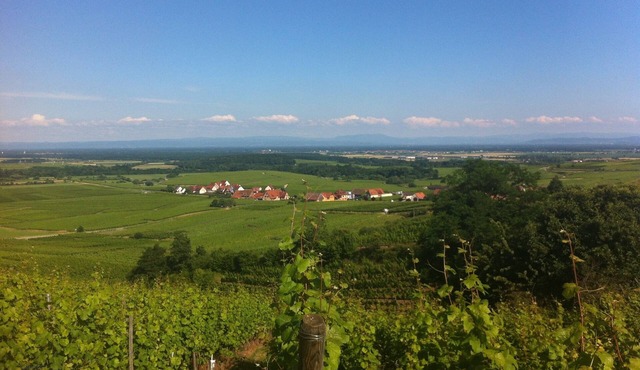 2-room apartment in central Alsace on the wine route