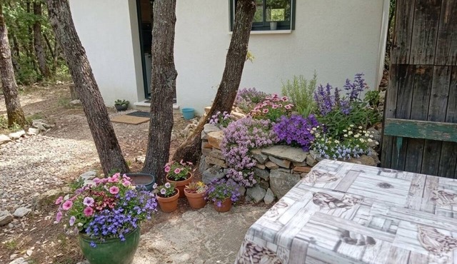 A little slice of paradise, nestled in the woods (Ste Baume, Canal de Provence, .