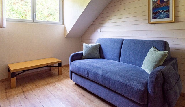 Apartment cabin with mountain views – sleeps 4
