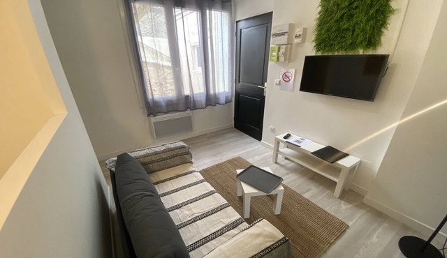 Apartment on the left bank of Toulouse