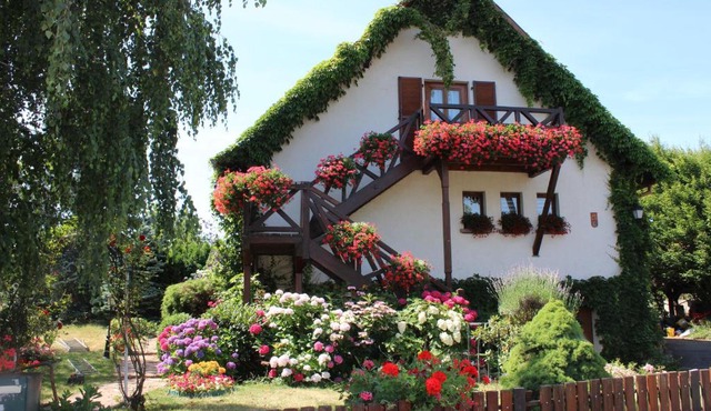 Apartment Route du Vin Centre Alsace