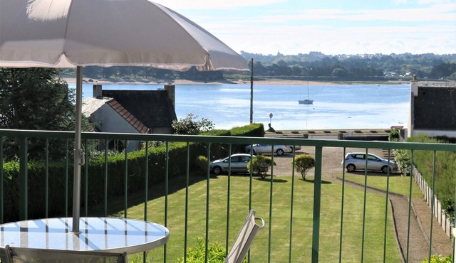 Apartment with terrace sea view in TREGASTEL