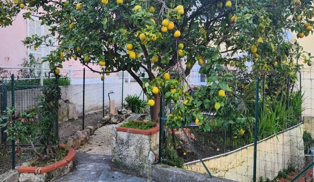 Appartement 2 Pièces Jardin Menton