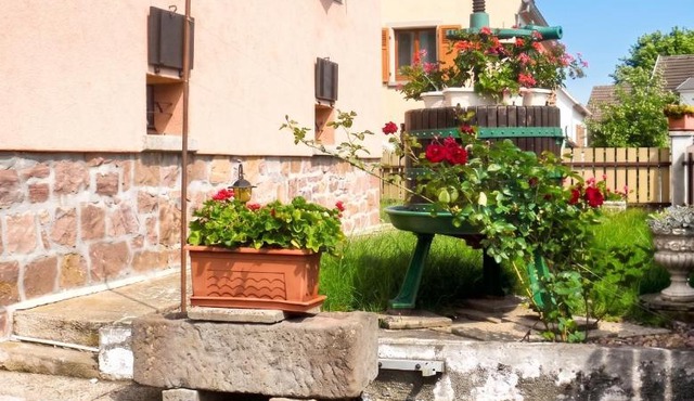 Appartement chaleureux à Kientzheim avec terrasse couverte