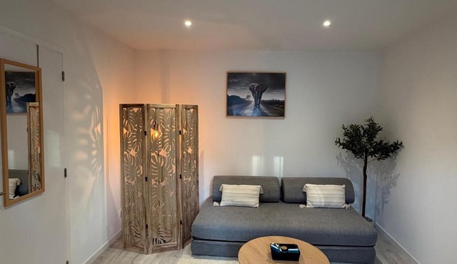 Appartement classé 4 étoiles Idéal cure thermale - Calme, confort & élégance - Contrexéville