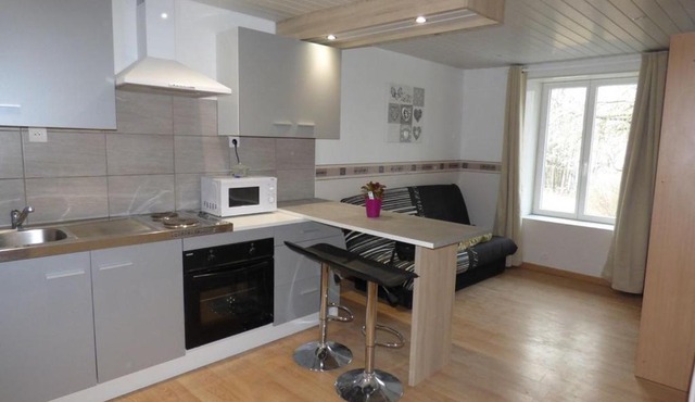 Appartement meublé 23 m2 entièrement rénové