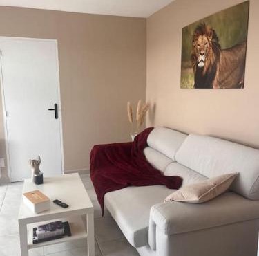 Appartement spacieux à Tarbes