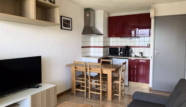 Arribau Residence - Renovated studio near the slopes and commperces, for 4 people, in Pra Loup