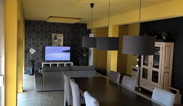 Bright downtown apartment