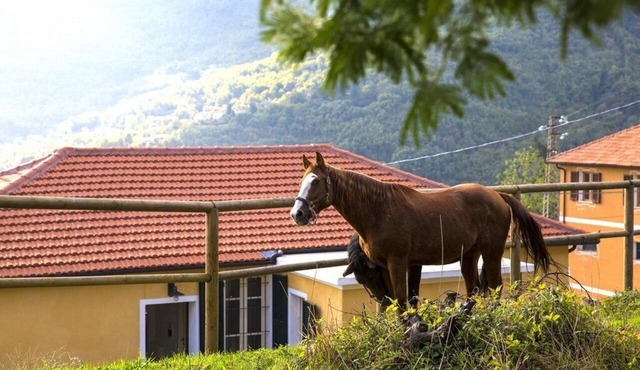 Casa Silvano - Valley View Retreat | Ap48