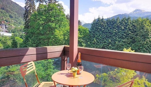 Castel des roches A36 by Interhome