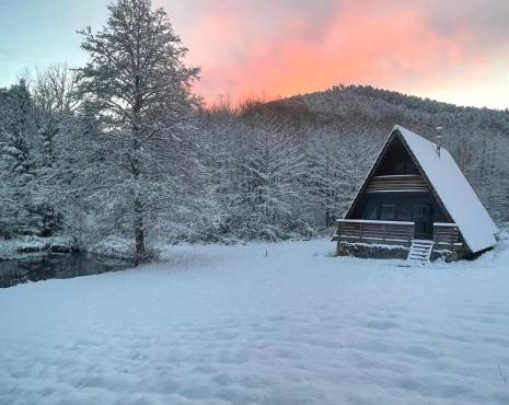 Chalet atypique en A lArmorique en pleine nature
