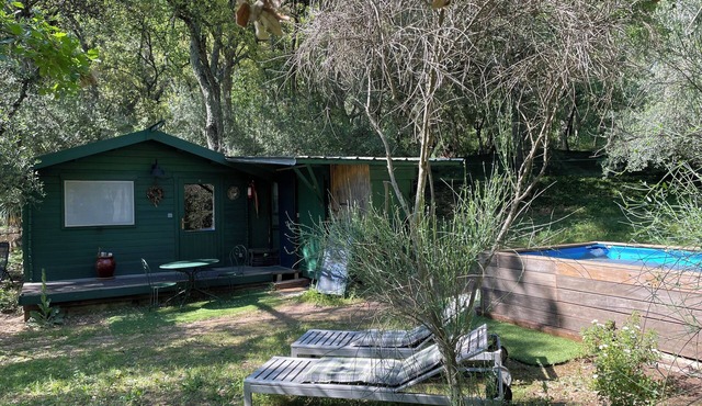 Chalet Avec Piscine Privée AU Milieu DE LA Forêt