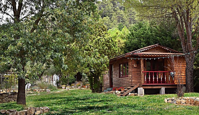 CHALET BOIS TOUT CONFORT- special discount summer 2026