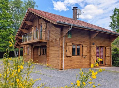 Chalet confortable avec cheminée à Taintrux - FR-1-589-222