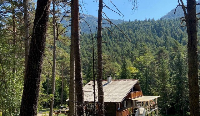Chalet for 10 with the forest