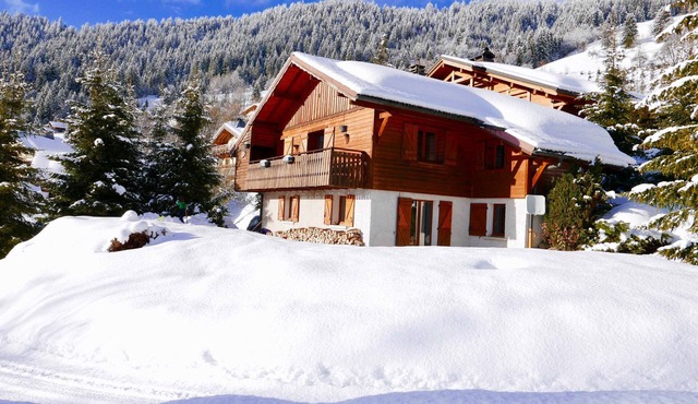 Chalet "L'Oréade" with Mountain Views, Private Terrace and Wi-Fi