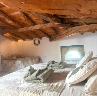 Chambre Botanic parenthèse à la campagne