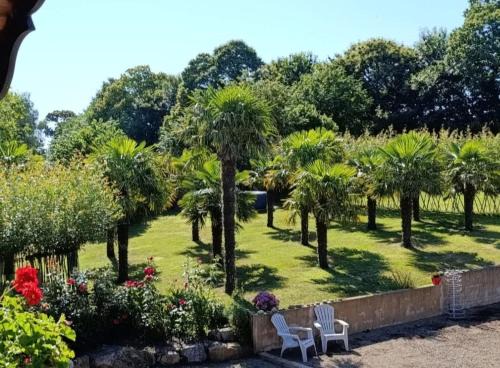 Chambre d'hote La Palmeraie