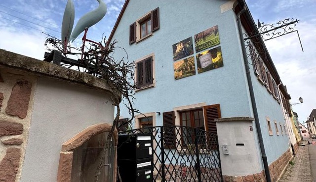 Charmant et chaleureux gîte dans le vignoble