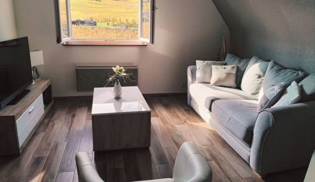 Charming gîte in the heart of the vineyards