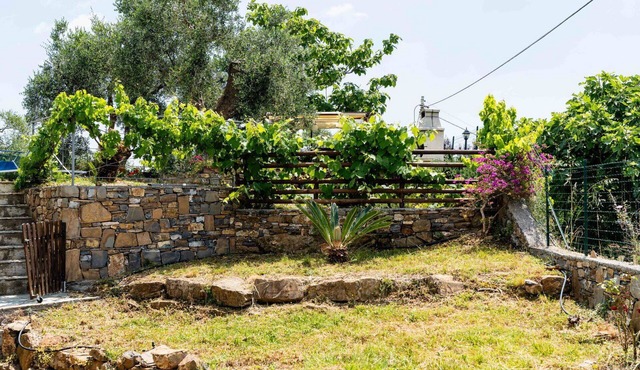 Cosy apartment for 4 guests with A/C, WIFI, pool and pets allowed