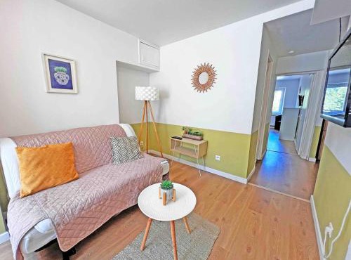 Cosy appartement, Nancy center