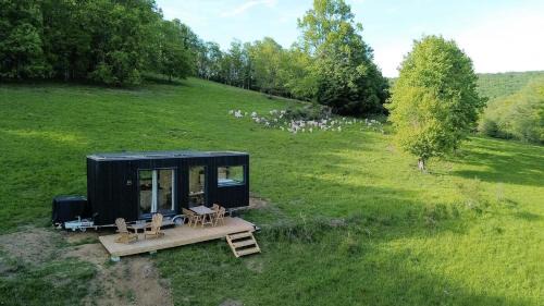 Courneillac - Parcel Tiny House - Tiny house vue Pyrénées entourée par les chèvres MAE-5233