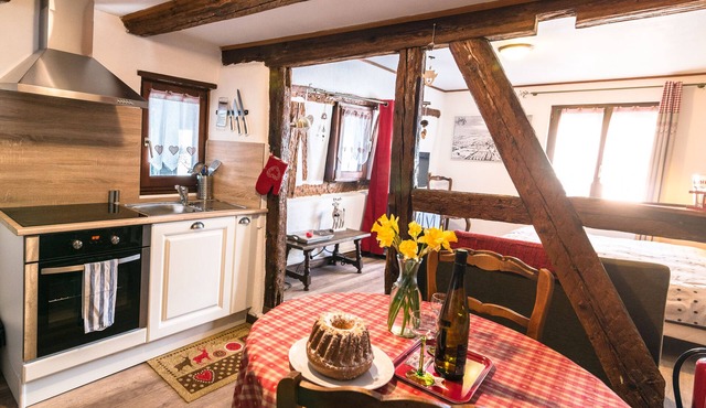 Cozy studio apartment, Muscat in the center of Ribeauvillé in Alsace