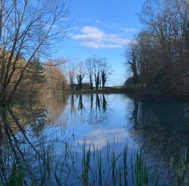 Domaine de l'étang du Tom et sa bulle