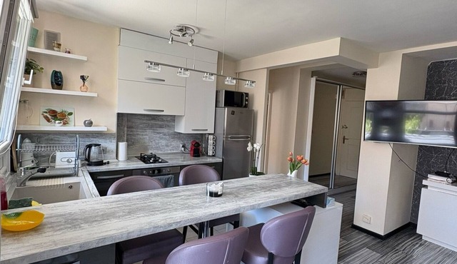 Fabulous 1-bedroom apartment with AC in vibrant Nice