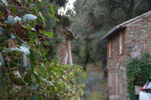 Gîte Almanda - Calme & Nature - Mas Lou Castanea