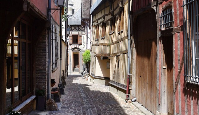 Gîte Apartment in Troyes city center