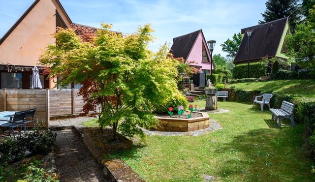 Gîte Les Sapins Bleus - Kaysersberg