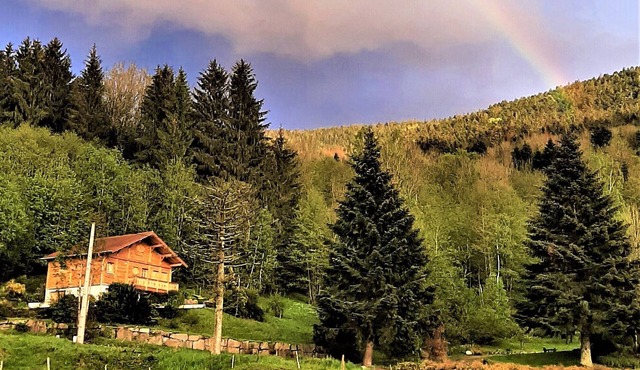 Gîte Pour 8 ou 15 Pers Près de Gérardmer et L Alsace