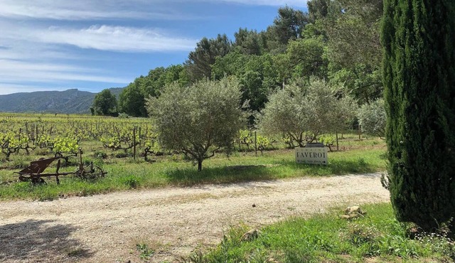 Gîte Cerisier - in the Provencal farmhouse of Domaine Faverot