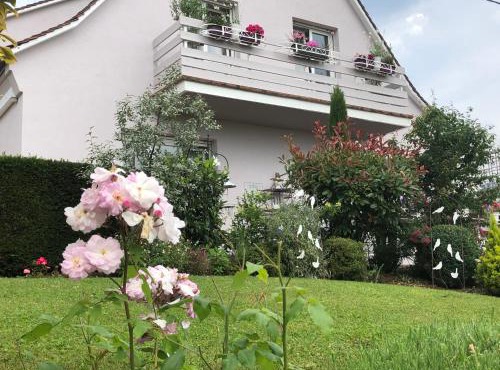 Gite Riquewihr "C'est Beau la Vie Alsace"