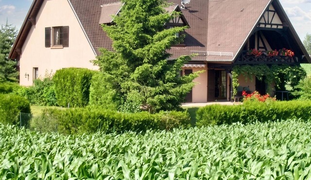 Homerez - Apt. in Hochfelden