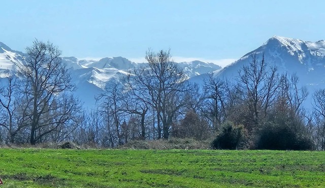 Homerez - House in Cardeilhac