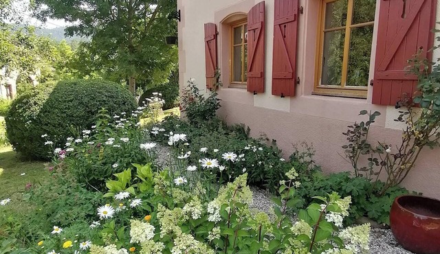 Homerez - House in Taintrux